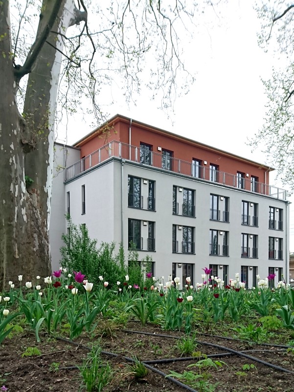 Micro-Apartments Wiener Straße Dresden